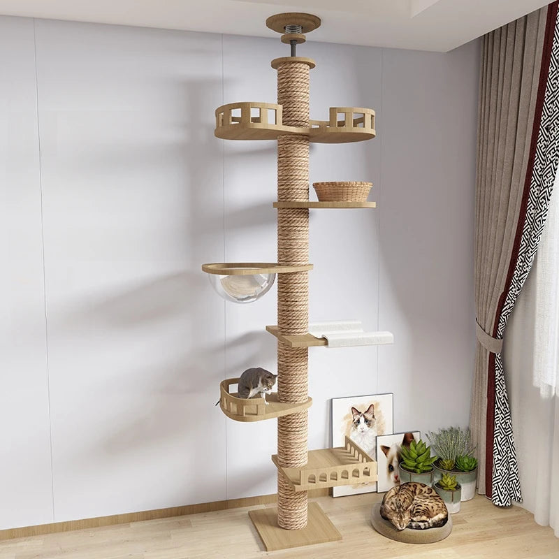 Torre Belly