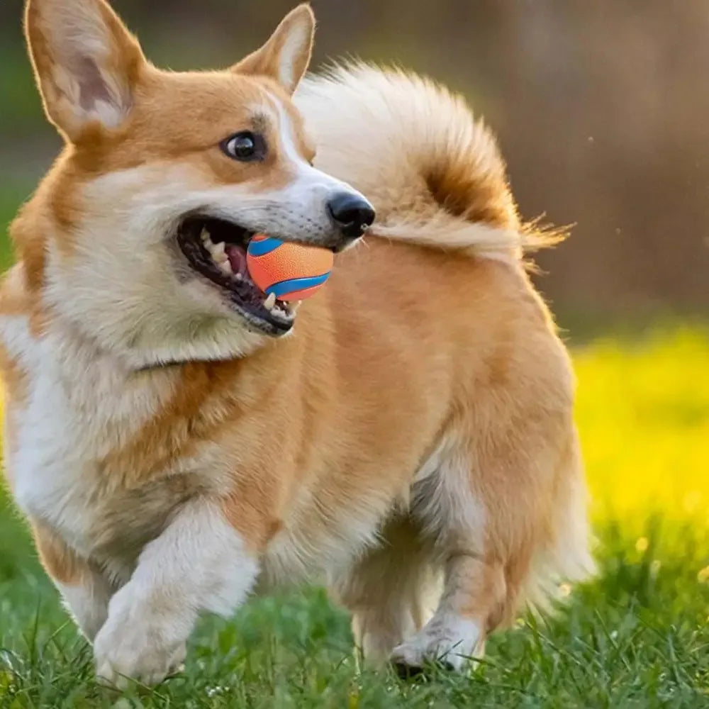 Bola