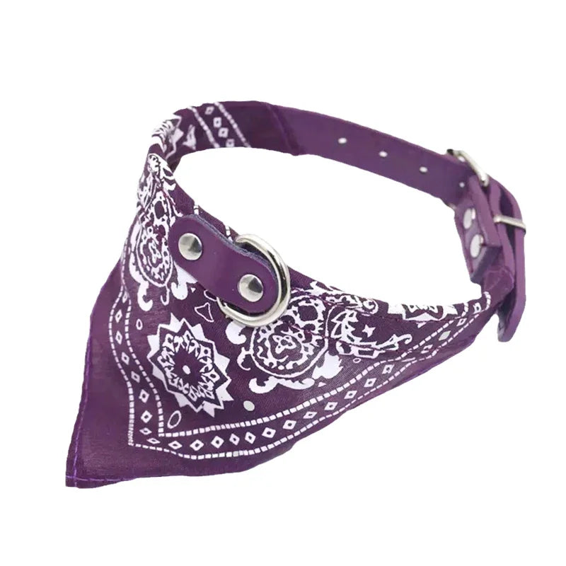 Coleira Bandana