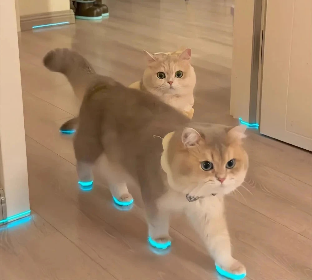 Adesivos Luminosos